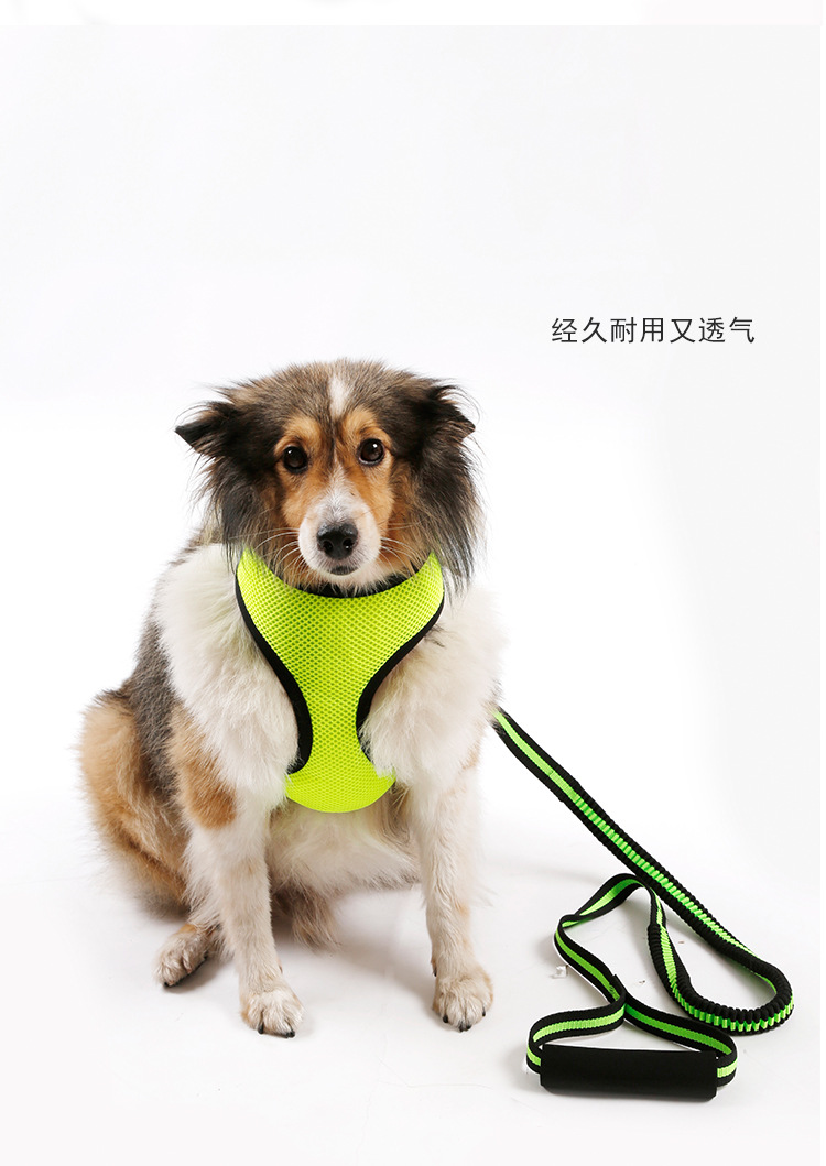 弹力伸缩牵引绳_13