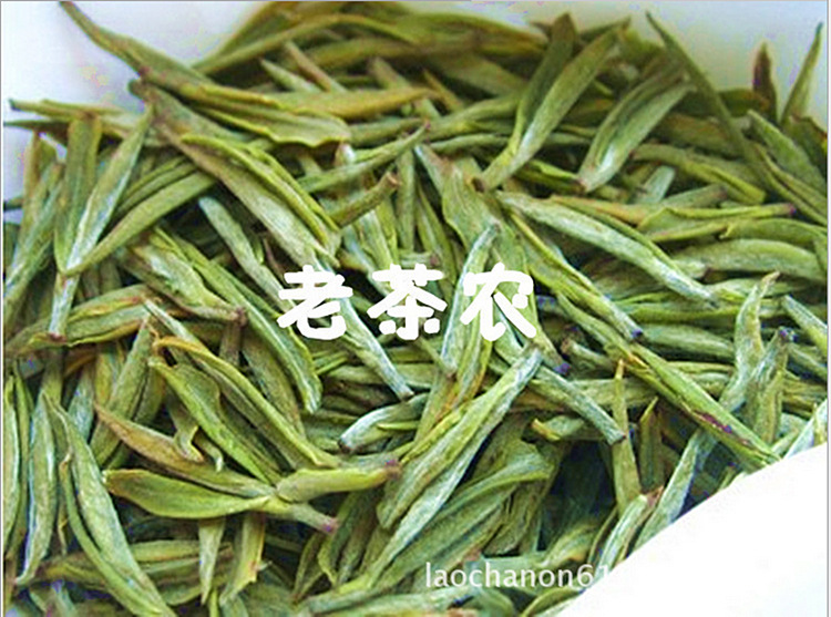 安吉白茶480_副本