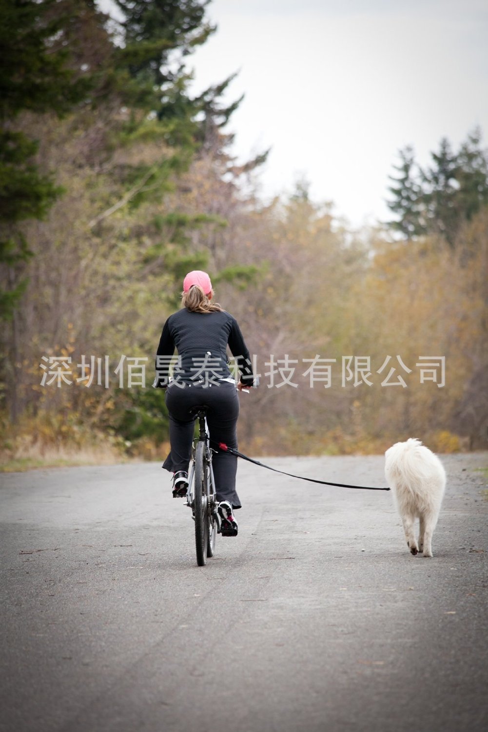 自行车遛狗牵引绳 狗链 狗绳 宠物牵引 户外宠物溜狗工具-阿里巴巴