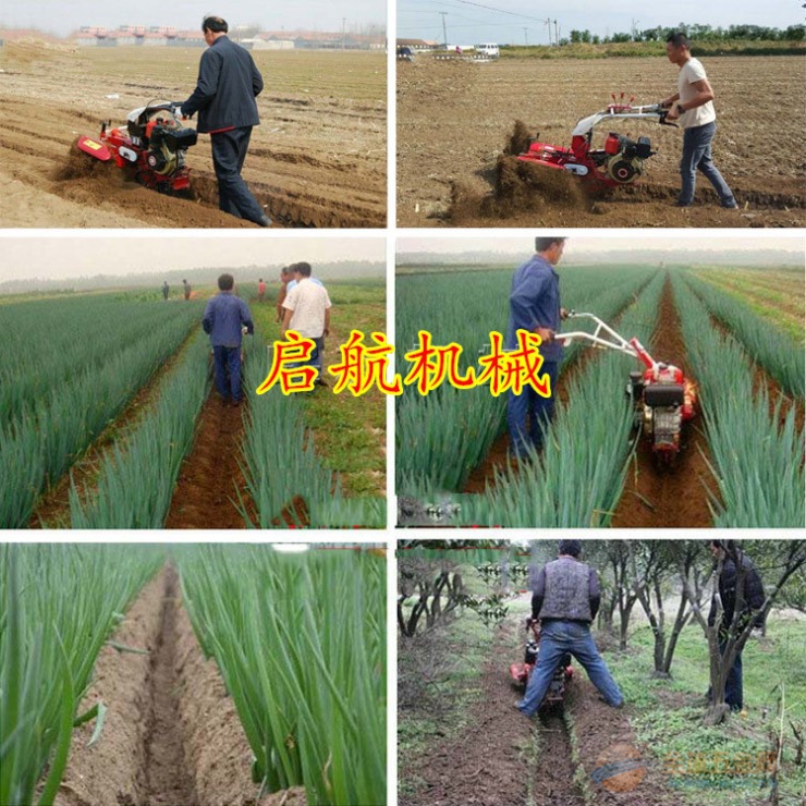 IMG160424165044132440