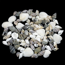 貝殼海螺米螺織紋螺飾品配件diy手工材料奶油膠手機殼美容