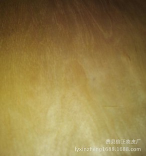 UV����N���Ö|����ľ����25�z��Ƥ �҃��T��