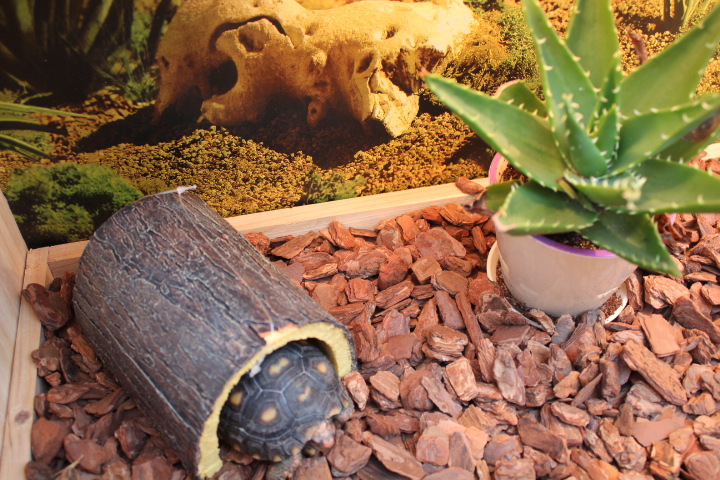 T2XfeHXkhbXXXXXXXX_!!82433095