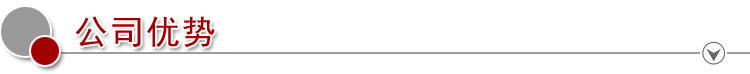 公司优势