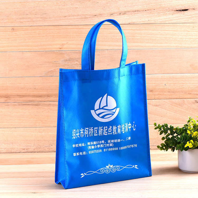 school cloth bag non-woven cloth