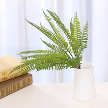 ����ٻ��Gֲ�G�~ֲ�ﲨ˹�ݻ�c�����b�ˇֲ���˹�~ާ��