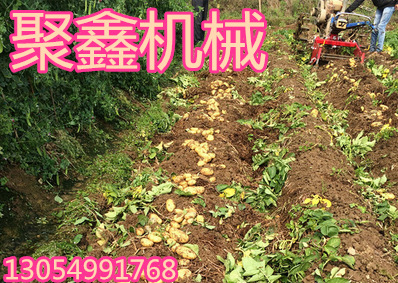 土豆收获机配件
