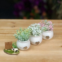 �S��ֱ�N�մ������k����������滨 ܇�d�[��ֲ��Ҿ��b����ϻ�