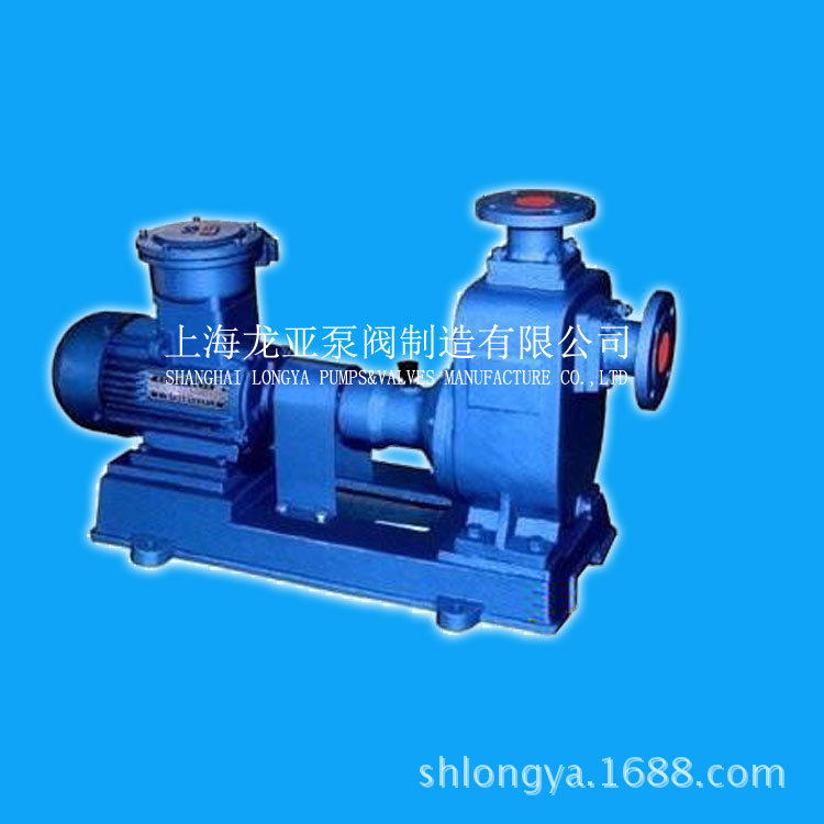 150CYZ-6-不锈钢316防爆自吸式油泵(图)