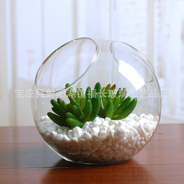苔藓微景观生态瓶多肉植物花盆diy玻璃瓶双双口鱼缸孔悬挂吊瓶 价格 厂家 哪里买 我有货 B 5yoho Cn 苔藓微景观生态瓶多肉植物花盆diy玻璃瓶双双口鱼缸孔悬挂吊瓶 价格 厂家 哪里买 我有货 B 5yoho Cn