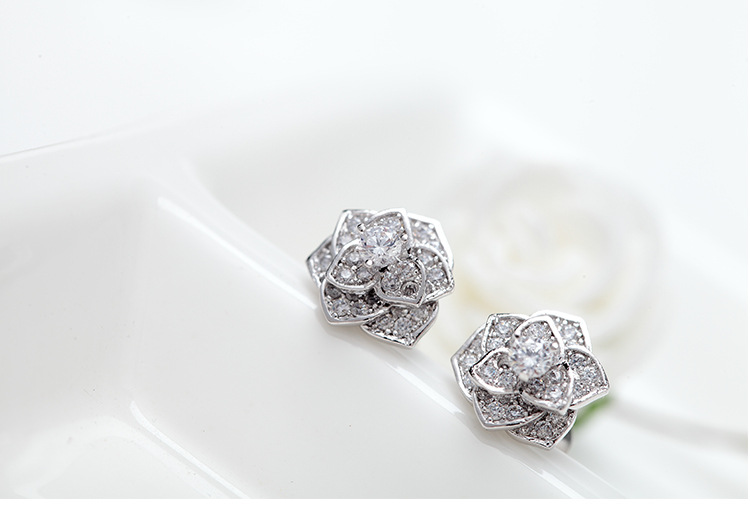 Jinse Plainte En Acier Aiguille Boucles D'oreilles Coréenne Frais Style Fleur Personnalité Incrusté Aaa Zircon display picture 6