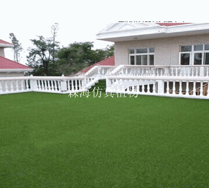 TB24mWvjpXXXXXeXXXXXXXXXXXX_!!