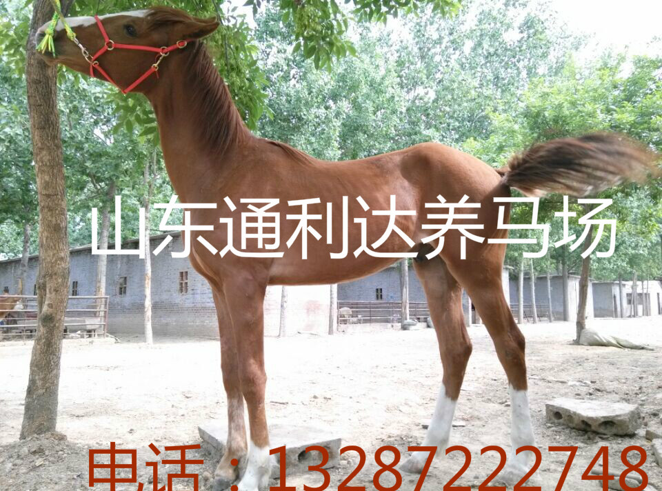20151319858_meitu_3