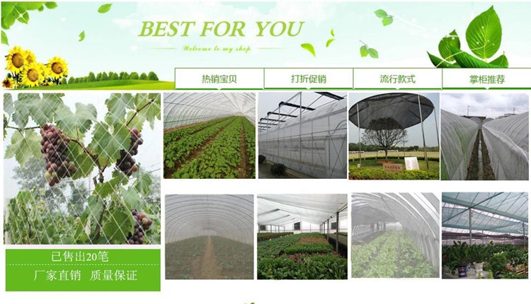 3352138553_2099731601.jpg_.web