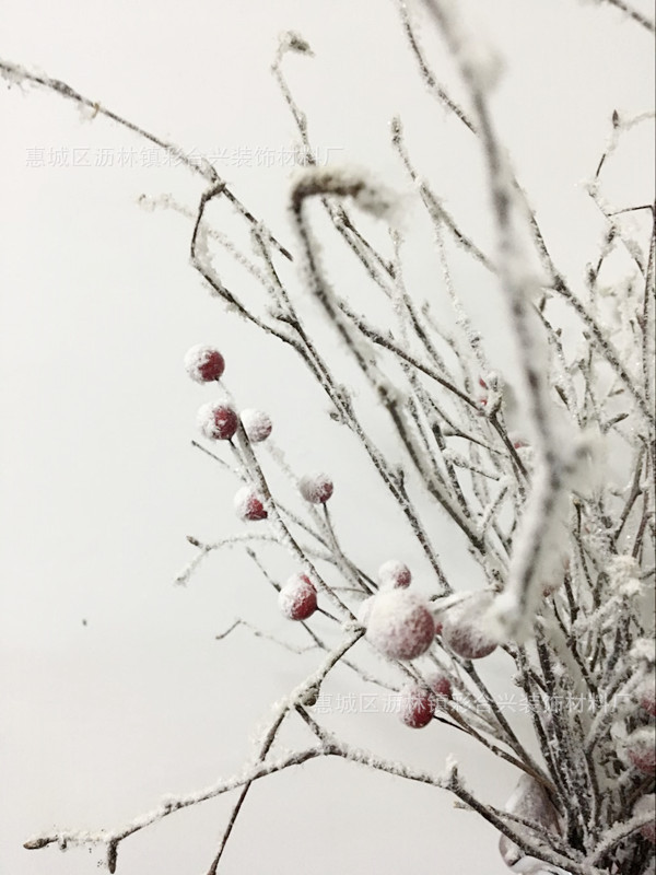 3391雪白雪绒粉 松果儿红果儿等工艺品雪效果装饰