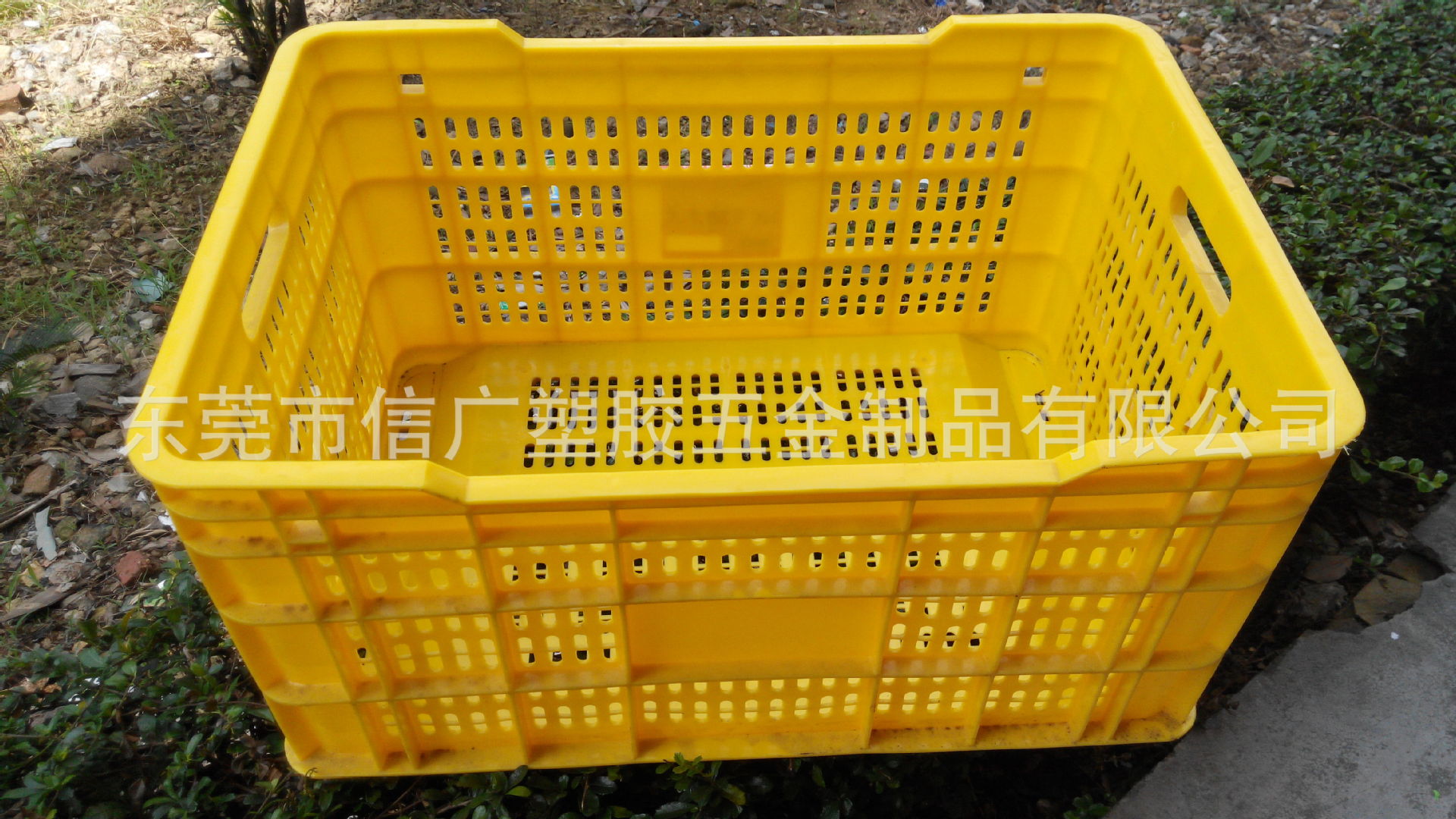 供应广州塑料网格周转箩 佛山水果蔬菜采摘装运筐 深圳生鲜冷冻筐