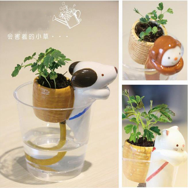 360截圖20160506104532690