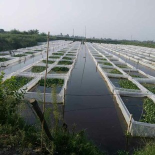 ˮ�΃r������,ˮ���Bֳ���g,Λ��(Λ�)�Bֳ���؈��  ˮ�ξW��