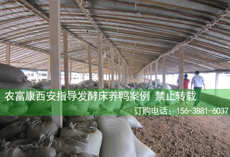 发酵床养鸭