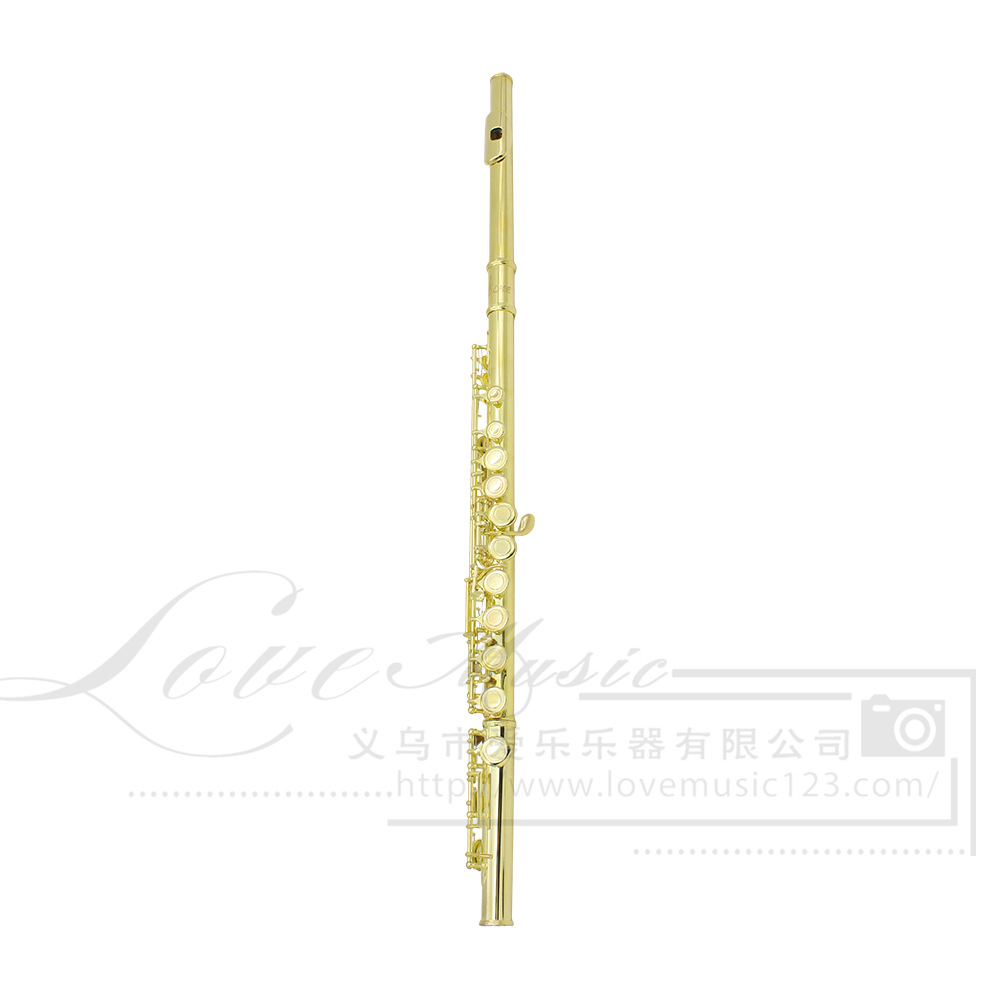 LADE16孔长笛C调彩色长笛镀镍闭键加E键专业级铜管乐器笛子flute详情2