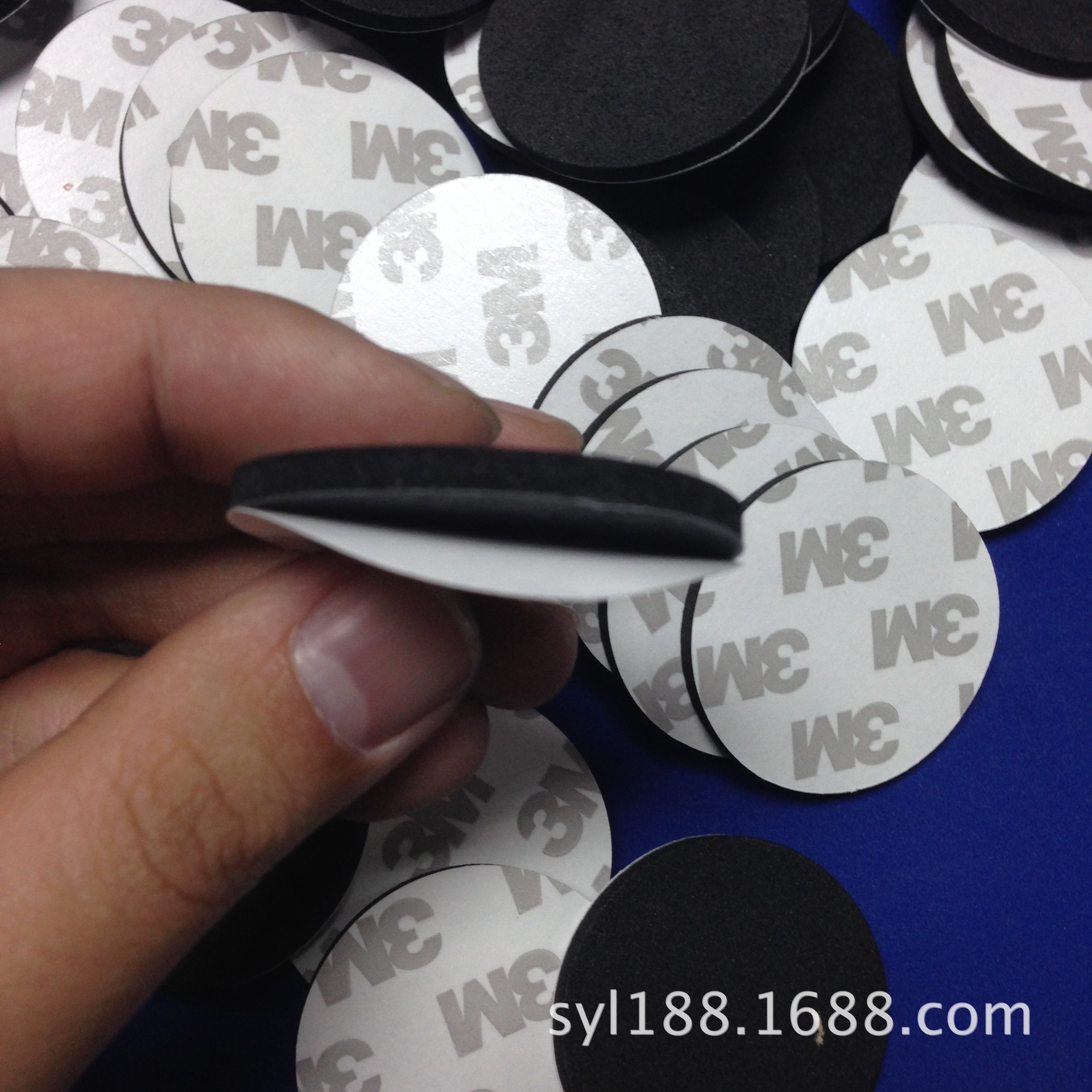 新建文件夹 (4)IMG_2526