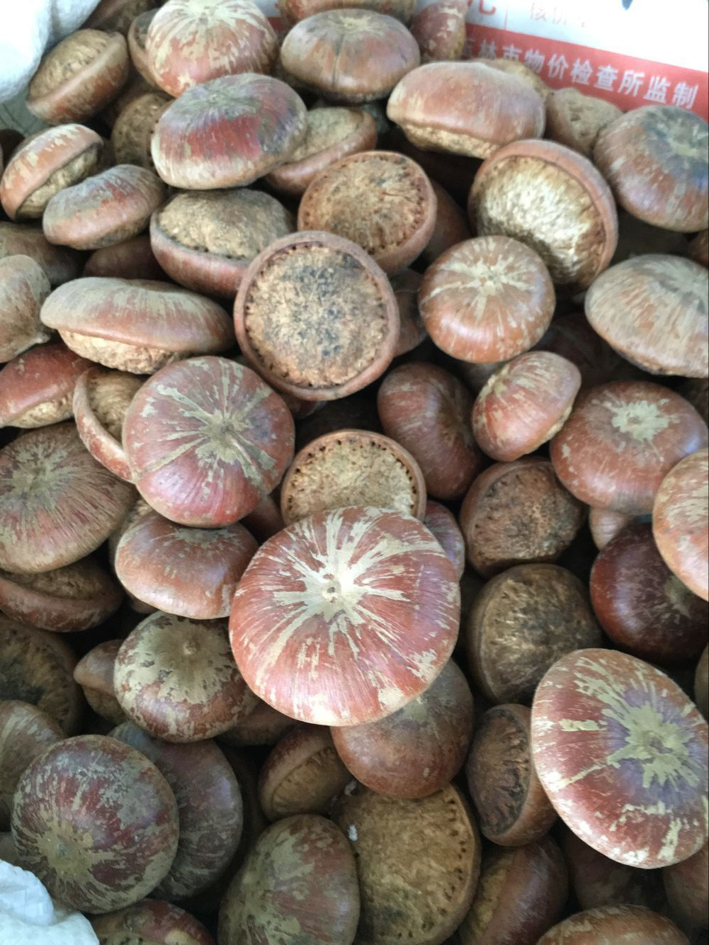 江湖地摊展销会快消品_野生天竺粒龟头子风流