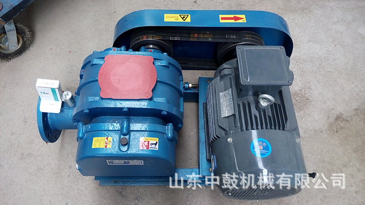 125型11KW羅茨風(fēng)機(jī)2