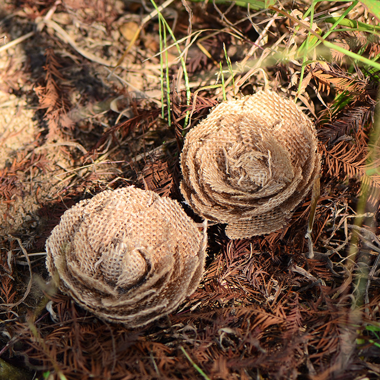 TB2hJWbarnA11Bjy0FjXXapoFXa_!!