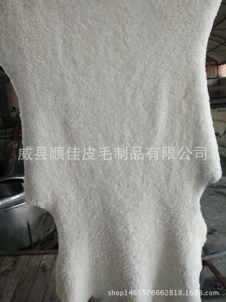 IMG20151005121942