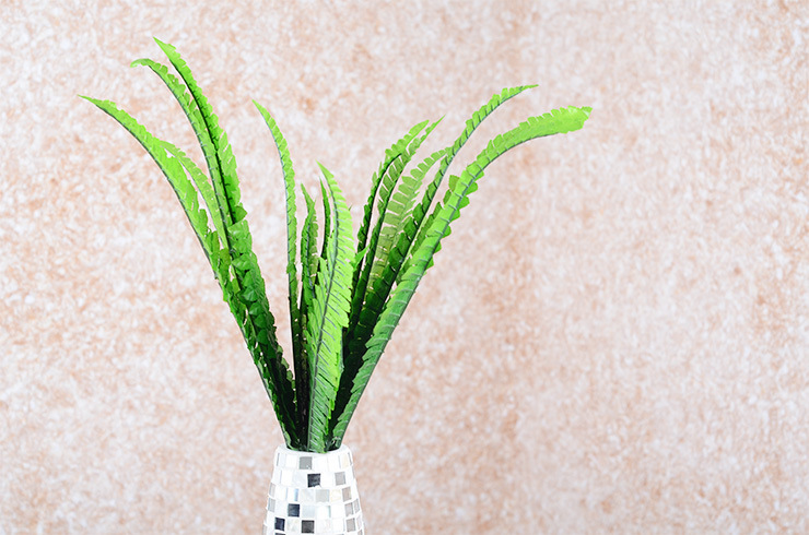 3060446246_107128512