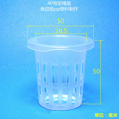 厂家批发40号 无土栽培定植篮  固根器  风信子水培套装种植杯