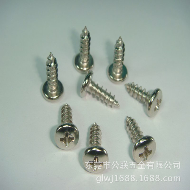 现货PA2*8圆头自攻螺丝 十字盘头尖嘴自攻螺丝钉不锈钢304