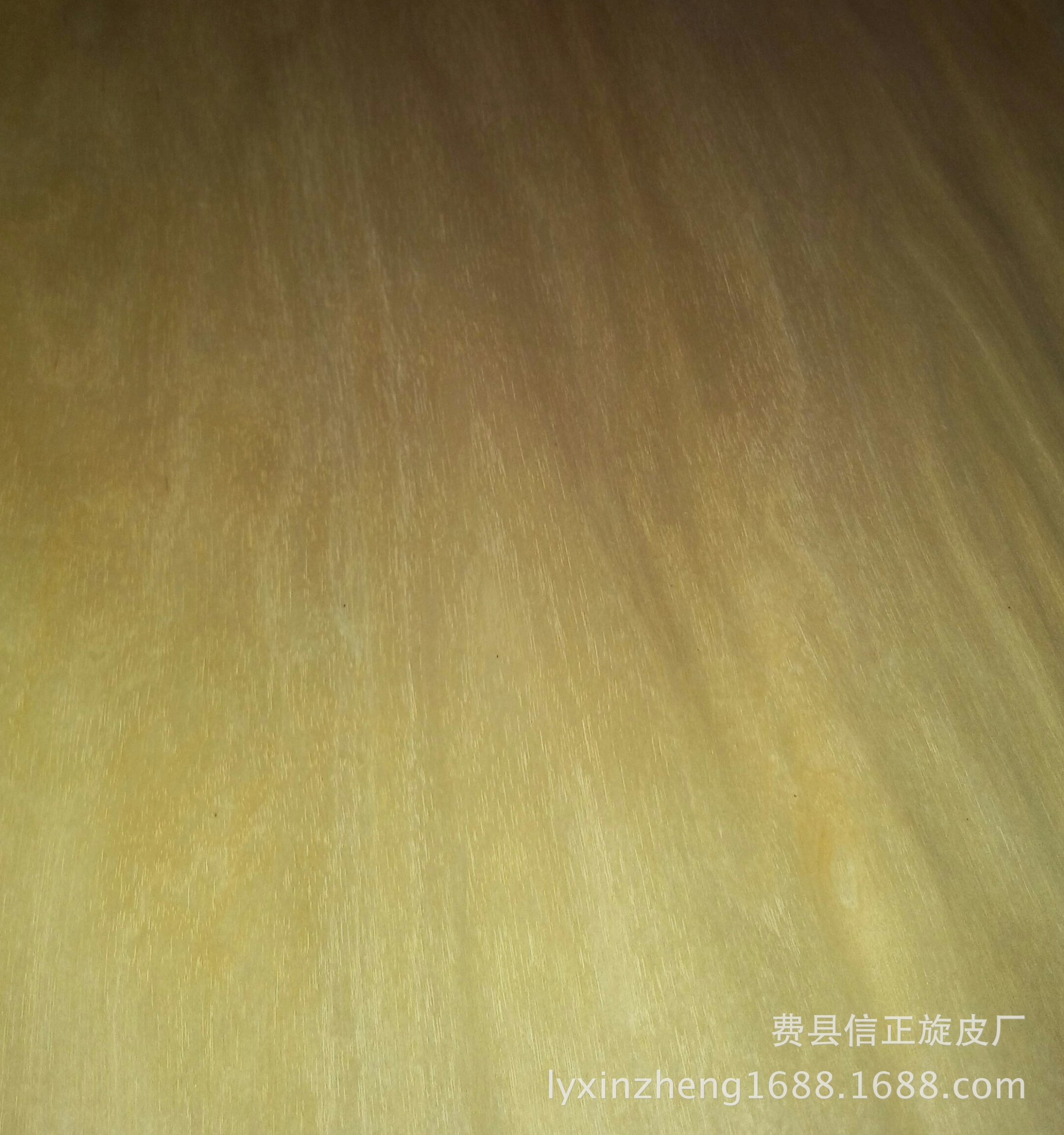 IMG_20160401_144913-1