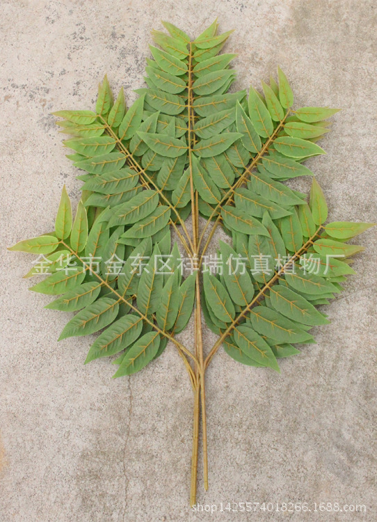 XRB-150天堂叶五叉枝