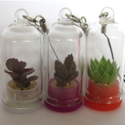 angel Greenhouse Succulent plants Pendant mobile phone Pendant Botany baby Take it with you Botany Farm