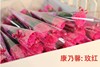 Women's Day Gifts Carnations Condor Summer Flower Teacher's Day event promotes small gifts