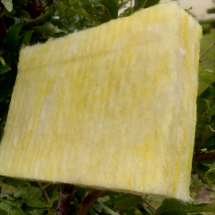 �����ް� (5) - ����