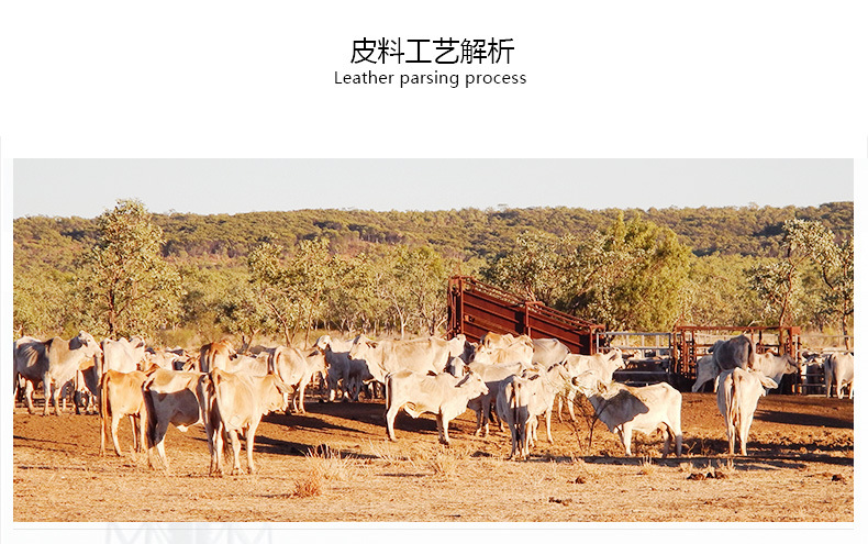 M1045油蜡皮PC端_26