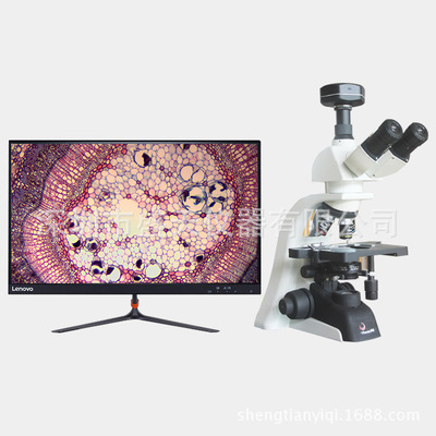 Siontae Infinite Optical System 40-1600X high definition Three mesh number Biological Microscope