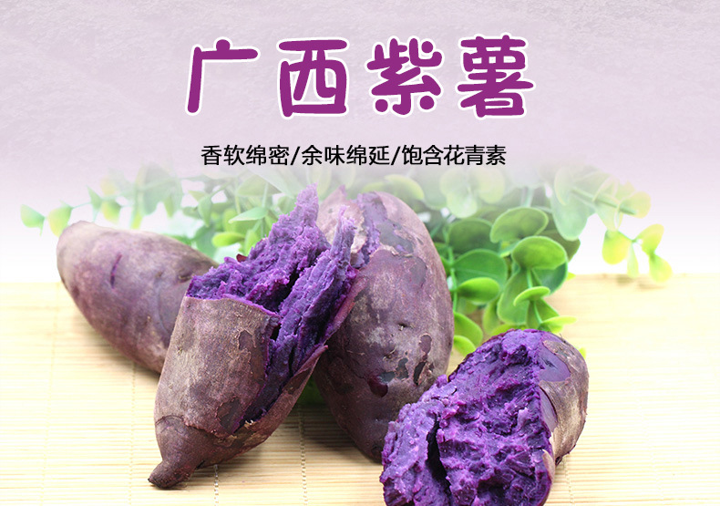 紫薯_01