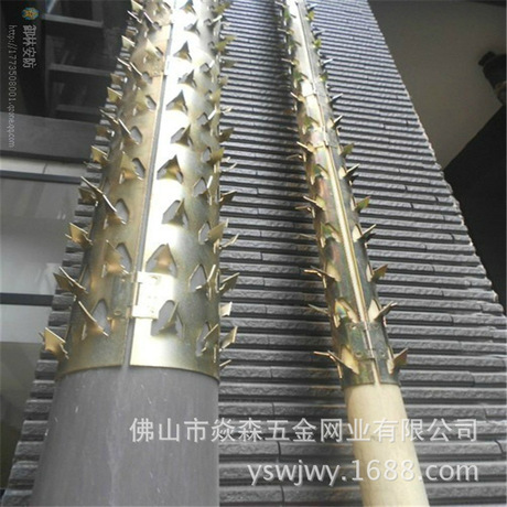 燃气管道防爬刺 不锈钢防盗刺 围墙防爬刺钉 厂家直销