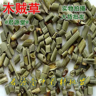 中药材 木贼  克 别名：木贼草、节节草
