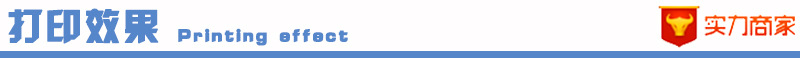 打印效果