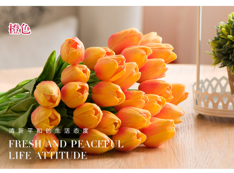 TB26UTFdVXXXXXgXpXXXXXXXXXX-26