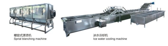 山核桃剥壳机,山核桃剥仁机,山核桃清洗烘干去壳剥仁加工生产线