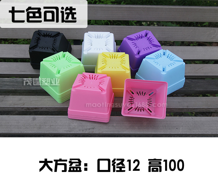 ����ھ�12_01