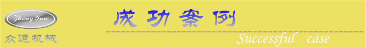 成功案例