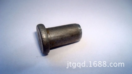 现货供应:优质M10X25半圆头铆钉 镀锌销轴