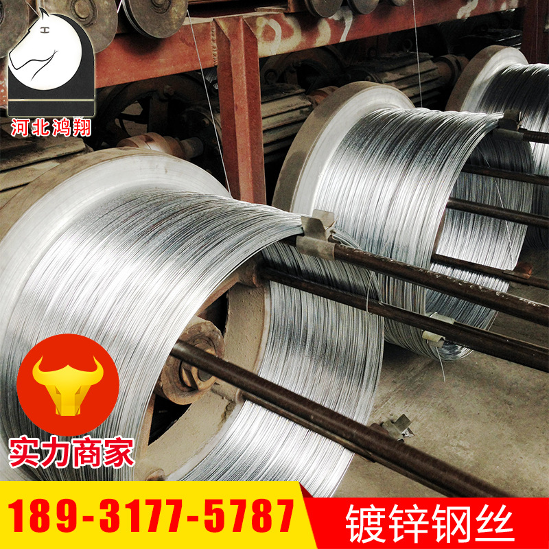厂家供应 苹果葡萄园用捆绑镀锌钢丝 打包低碳镀锌钢丝