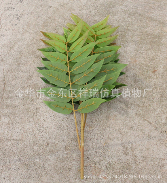 XRB-152立体天堂叶6叉枝2